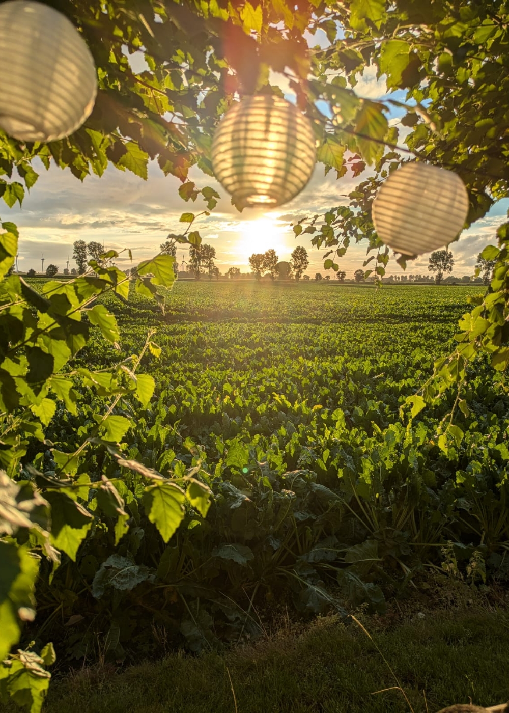 FeWo-Stille_Zeit Ferienwohnung “Stille Zeit”