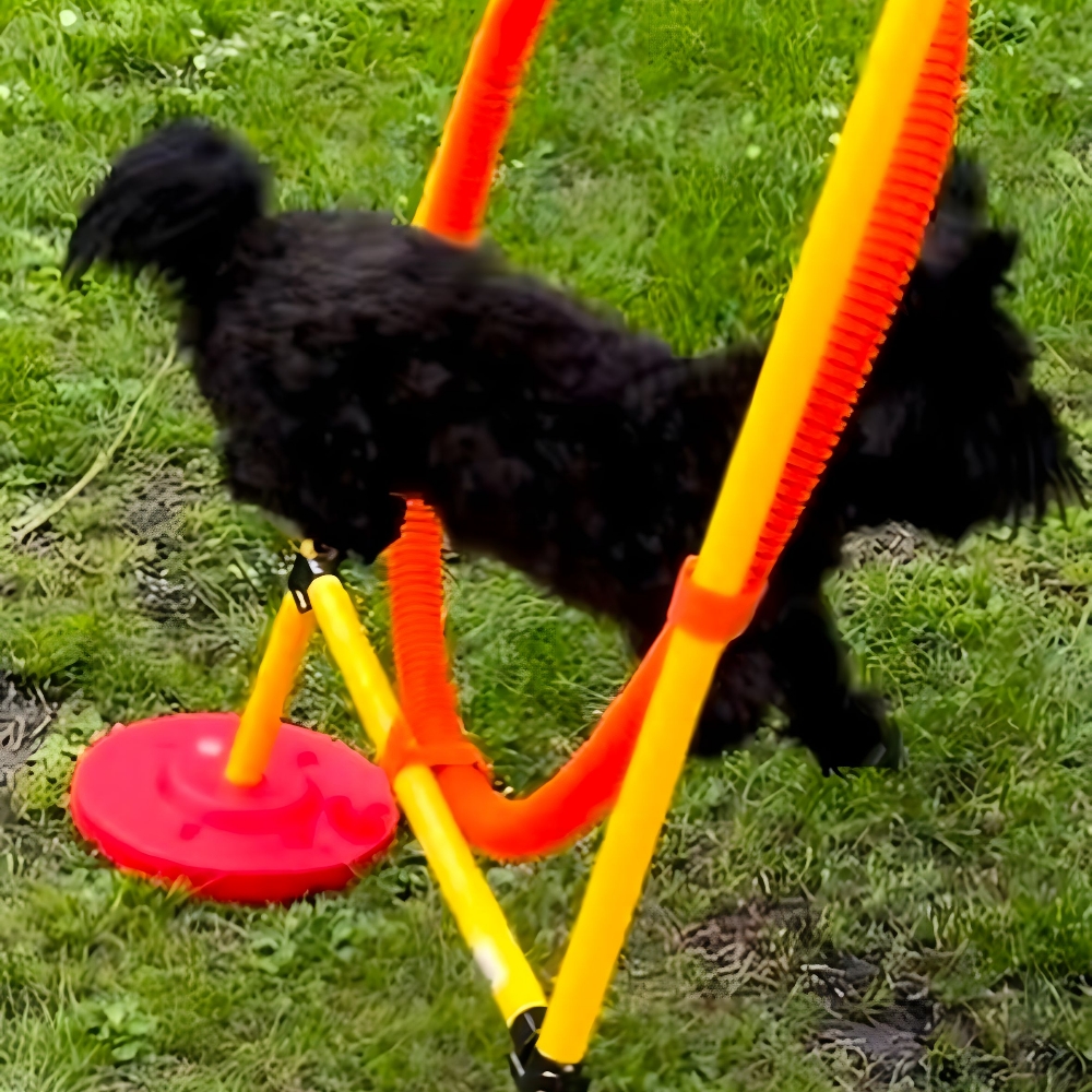 Tiergestützte Pädagogik